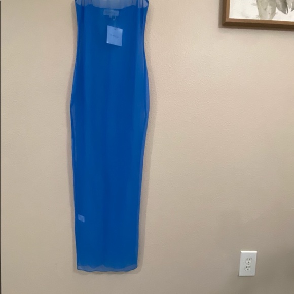 The Naked Tiger Sheer Dress - Picture 2 of 10